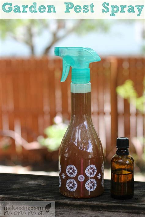 Make spray for the yard with help from the operator of a pest. Natural Pest Control Spray For Your Garden | Garden pest ...