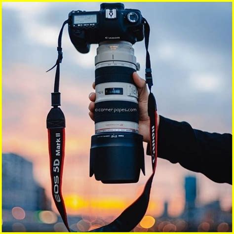 Read this post to check out the top 10 english newspapers in india. Best Camera in the World in 2020 | Canon camera ...