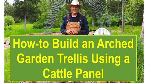 Check spelling or type a new query. Tips and Ideas on How-to Build an Arched Garden Trellis ...