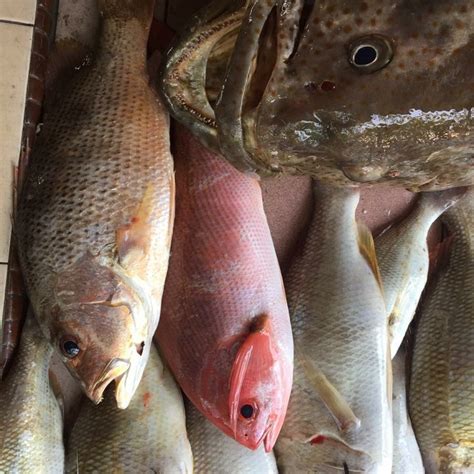 We did not find results for: GOLDENSON Pancing Amatur Penang