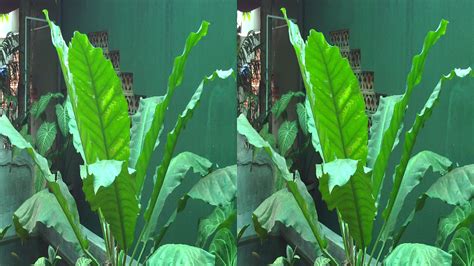 Misalnya video, kata kata, sampai kumpulan gambar gokil. Contoh Gambar 3 Dimensi Di Buku Gambar - Contoh 193