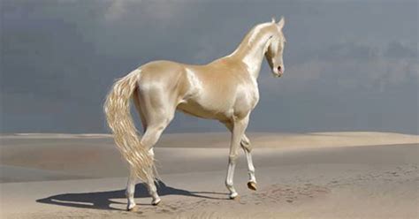 People Are Calling This Super Rare Creature The "World's ...