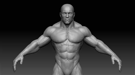 • different parts of the face with pictures. 3D model Muscular male body VR / AR / low-poly OBJ FBX ZTL ...