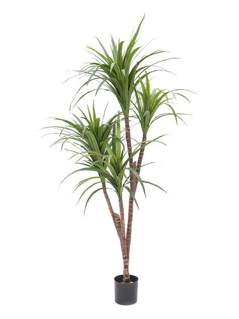 Subito a casa e in tutta sicurezza con ebay! Yucca con 2 tronchi 90cm · piante finte - fiori ...