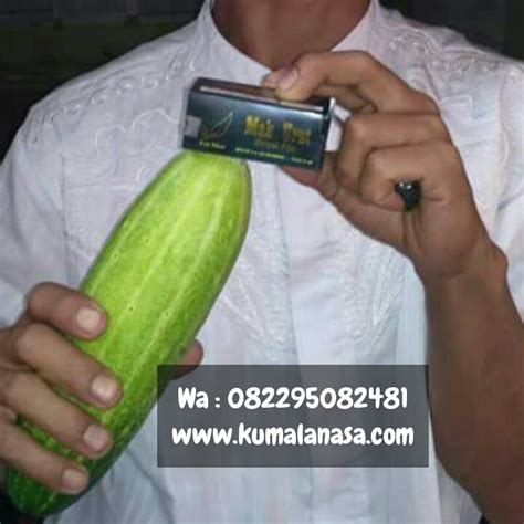 Minyak lintah tapa cara jitu membesarkan dan memanjangkan alat vital. MANFAAT MAK URUT MINYAK PIJAT