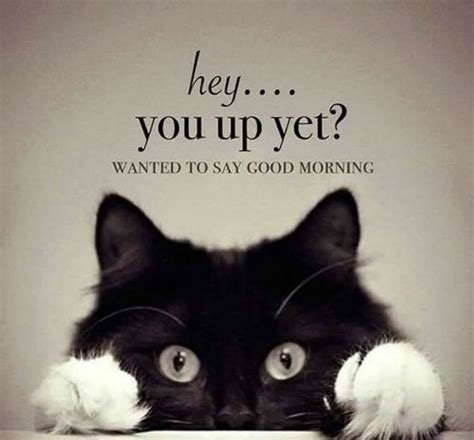 Good morning funny images pictures photos 2020. Good Morning Inspirational thoughts and WhatsApp messages ...