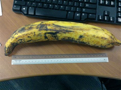 M@ VIe: Giant Banana