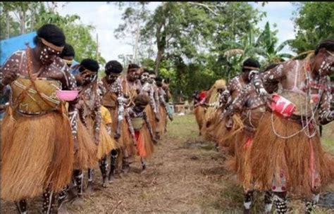 Dec 27, 2019 · 34 pakaian adat dari berbagai provinsi terlengkap 5 menit membaca oleh vera khairifah pada december 27, 2019. 4 Pakaian Adat Papua, Beserta Gambar dan Penjelasannya