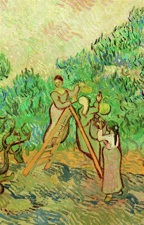 When did vincent van gogh paint his first picture? The Olive Pickers, 1889 Painting by Vincent van Gogh