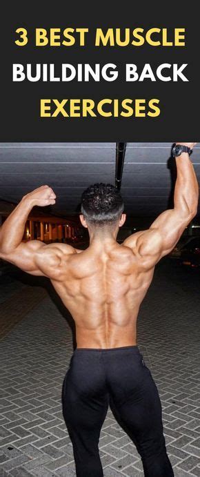 What's the best app for the gym? 3 Best Muscle Building Back Exercises #fitness # ...