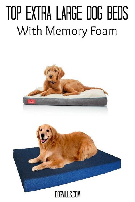 Top 10 Extra Large Dog Beds With Memory Foam | Extra large ...