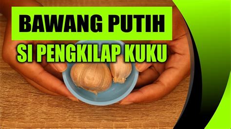 Penggunaan bawang putih (nama latin: Tips Merawat dan Mengkilapkan Kuku dengan Bawang Putih ...