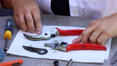 Check spelling or type a new query. How to Clean & Sharpen Your Pruners! ️🧼🌿// Garden Answer ...