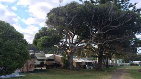 Kempsey shire council is a local government area in the mid north coast region of new south wales, australia. Petition · Kempsey Shire Council: Save Camping Sites at ...