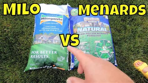 It can be applied anytime during the growing season because it doesn't contain anything that will burn grass. Milorganite vs Menards Natural Fertilizer - YouTube