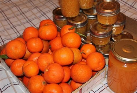 Tangerine Marmalade · Jam · Recipes on Cut Out + Keep · Creation by ...