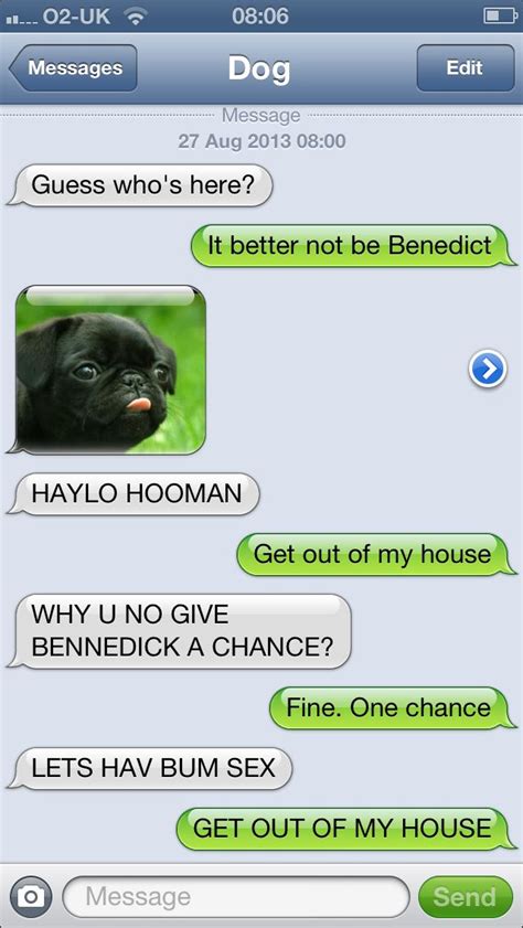 Foofs is my pet bun and he died today. Benedict | Funny dog texts, Dog texts, Funny images laughter