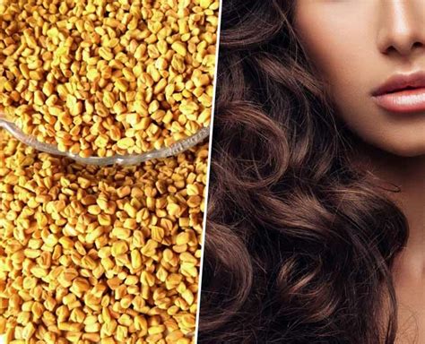 How to make an avocado hair mask at home Methi Hair Packs To Stop Hair Fall, Dandruff, Revive Dull ...
