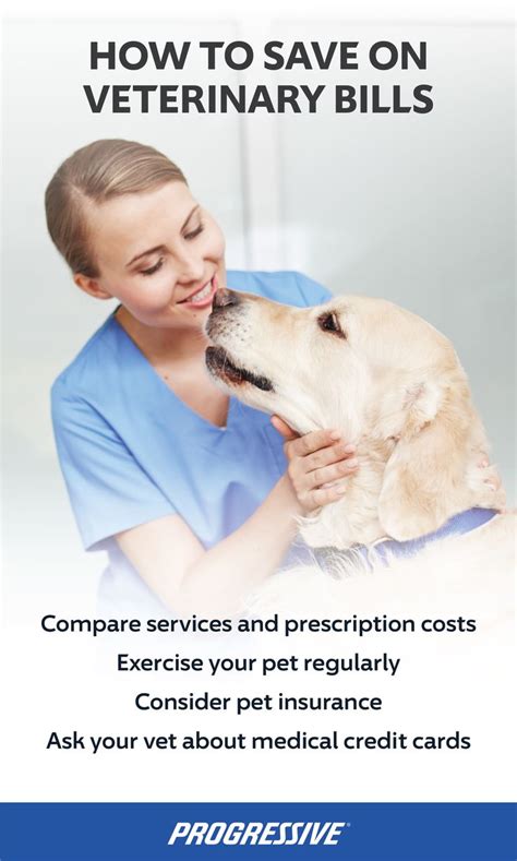 Once your account gets recognized as a delinquent one, it is seriously going to damage your credit score. How to save on veterinary bills #PetHealth | Veterinary, Pet vet, Vet costs