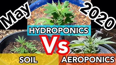 Maybe you would like to learn more about one of these? Outdoor Grow Off High Pressure Aeroponics, Soil, Hybrid ...