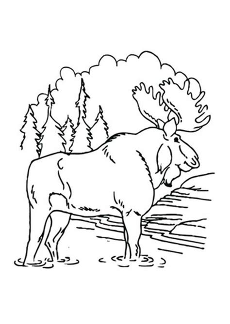 Mud coloring can be crafted in the cooking pot or industrial cooker with berries and other ingredients. Moose is Like Playing Mud Coloring Page | Coloring books ...