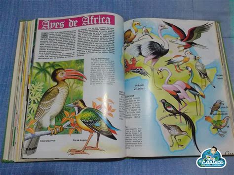 Maybe you would like to learn more about one of these? TESOROS DE LA EDUCACIÓN | El libro gordo de Petete ~ La ...