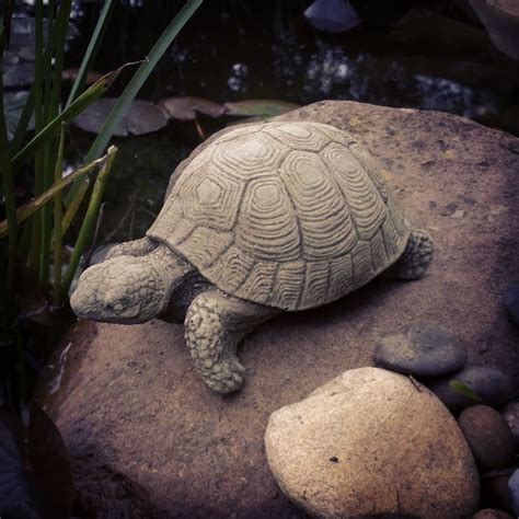 The minimized wood chips resulting from sun joe's efforts are perfect for use as garden just plug it in and instantly start chipping! Small Stone Tortoise Ornament - £14.99 | Garden4Less UK Shop