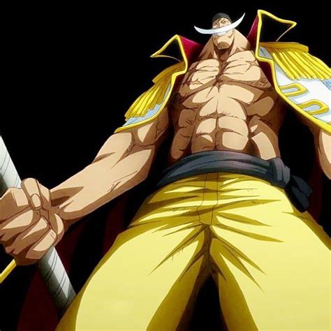 At myanimelist, you can find out about their voice actors, animeography, pictures and much more! Pin by TOKI ~ on One piece | One piece images, Image, One ...