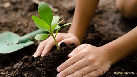 You need to consider your land, the climate where you live, what plants are suitable to your local area. Tree plantation drives, are they enough to get enough rains?