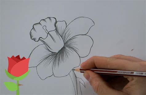 ¡hola amigas y amigos de www.mimundomanual.com! 🌷🌺 Como dibujar una rosa y flores paso a paso for Android ...