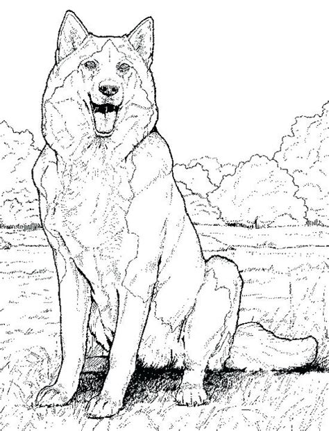 More 100 coloring pages from animal coloring pages category. Printable Realistic Animal Coloring Pages at GetColorings ...