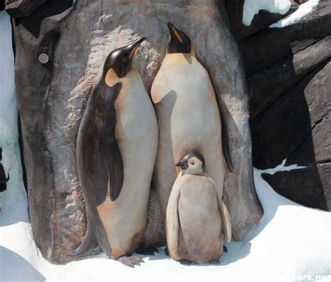 It is such a nicer exhibit than it was originally. SeaWorld's Antarctica: Empire of the Penguin opens ...