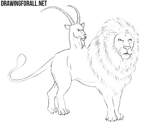 The images above represents how your. How to Draw a Chimera | Drawingforall.net