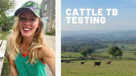 Kw0f%, testing and 2*3*8=6*8 and btdh=btdh, testing' and. OMG A NEW BORN CALF!! STRESSFUL: CATTLE TESTING, CAKE ...