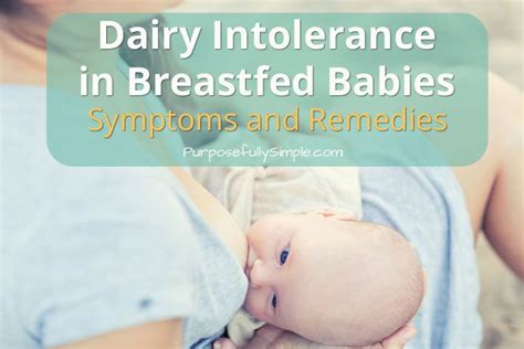 A maternal free diet should be recommended only if food allergy is confirmed in breastfed babies. Dairy Intolerance in Breastfed Babies: Symptoms and ...