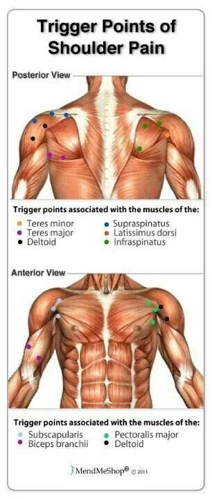 Related online courses on physioplus. Pin op Massage Therapy & Bodywork