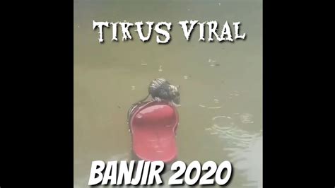 Kelab malam di as terbakar karena kembang api, 100 orang tewas. Tikus viral !!! ||Banjir 2020| banjir Jakarta hari ini - YouTube