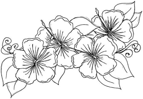 Simple rose flower coloring page for kids. Free Printable Hibiscus Coloring Pages For Kids | Flower ...