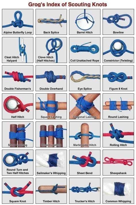 If you are interested to know more about essential camping knots that you can use for your next camping, here are some basic camping knots that you should learn. imgur.com | Scout knots, Survival knots, Camping knots