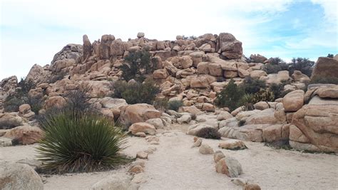 An interesting example is the tibetan plateau, where the monsoon creates steady strong winds from december to april, and calm winds from june to october. Hidden Valley Joshua Tree Nation Park #outdoors #nature # ...