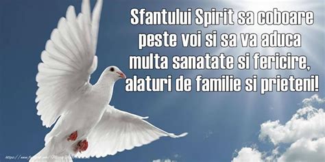 Rusaliile desemneaza o fiinta fantastica, asemanatoare ielelor, reprezentata ca o zana rea, care dezlantuie furtuni, schilodeste pe oameni sau le ia mintile. Felicitari de Rusalii - Sfantului Spirit sa coboare peste ...