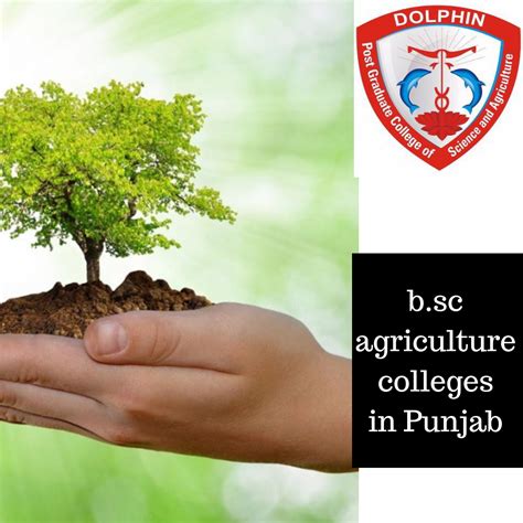 Wanna pursue bachelor's degree in Agriculture? #Dolphin(PG ...