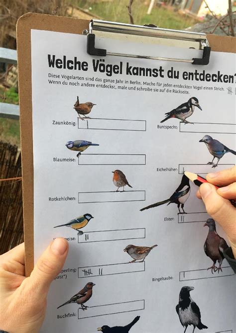 Daher haben weder nationale symbole selbst noch die jeweilige bedeutung eines nationalen symbols ewigkeitswert. Draußen - Pindactica