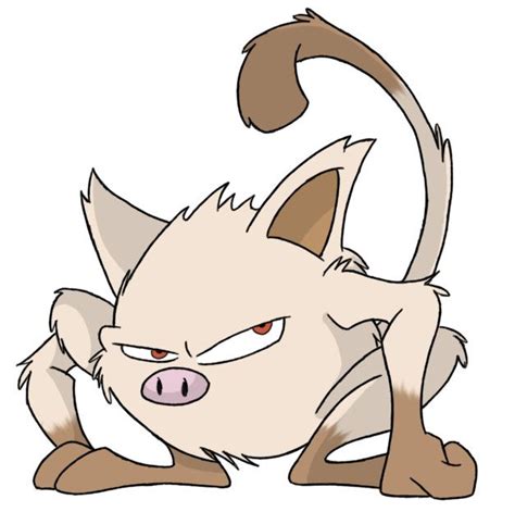 It evolves into primeape starting at level 28. Mankey has had several appearances in the Pokemon anime TV ...