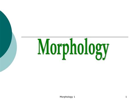 Not clear enough to be read; PPT - Morphology PowerPoint Presentation, free download ...