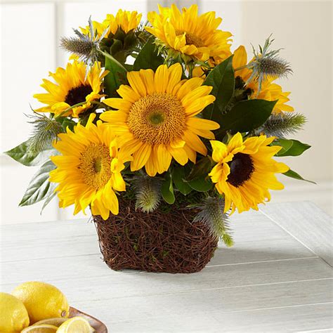 5 stars the flowers and the arrangement was beautiful. The FTD Perfect Sun Bouquet in Tucson, AZ | Flowers For You