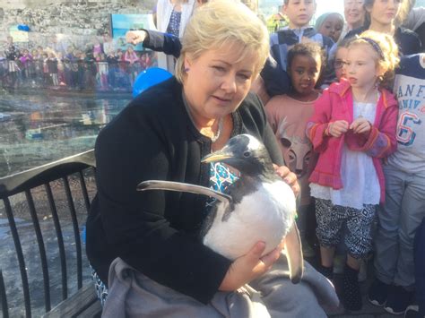 And norway's prime minister erna solberg got in on the action, . overview for StupidCreativity