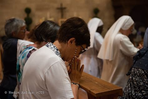 Sabemos que este bandido tem uma certa prática de andar na mata sem deixar vestígio. Fiesta de los santos Marta, María y Lázaro - Noticias