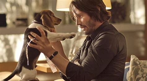 There's john wick's death with his dog at his side (instead of how the opposite happens in the movie), the dog blowing up his dog house as a trap for the assassins chasing him, and even a gravestone. John Wick Directors Were Ordered Not to Kill the Dog, But ...