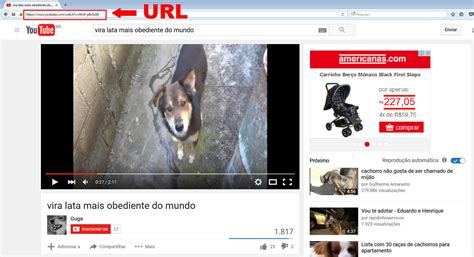 Hoje em dia é muito prático assistir vídeos no. Como baixar videos do Youtube sem instalar programas